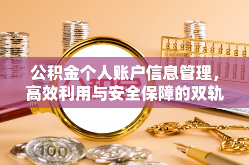 城市公积金个人账户信息管理，高效利用与安全保障的双轨并行