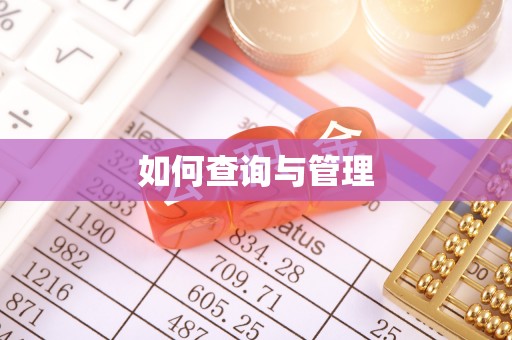 城市如何查询与管理