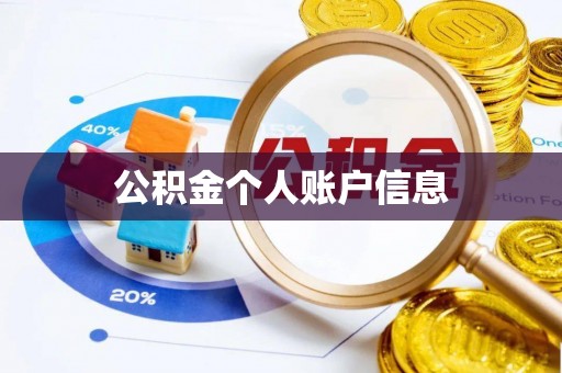 城市公积金个人账户信息