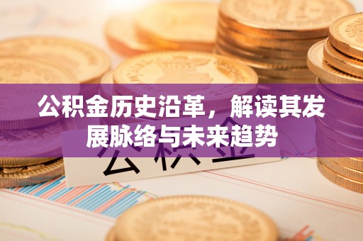 城市公积金历史沿革，解读其发展脉络与未来趋势