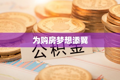 城市为购房梦想添翼