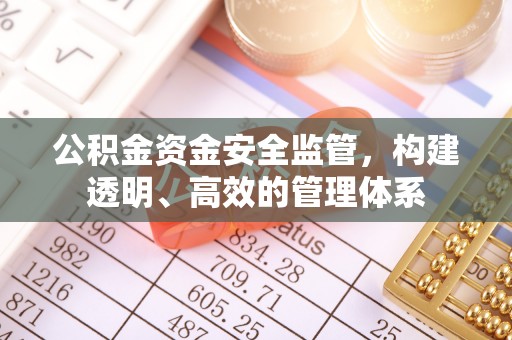 城市公积金资金安全监管，构建透明、高效的管理体系