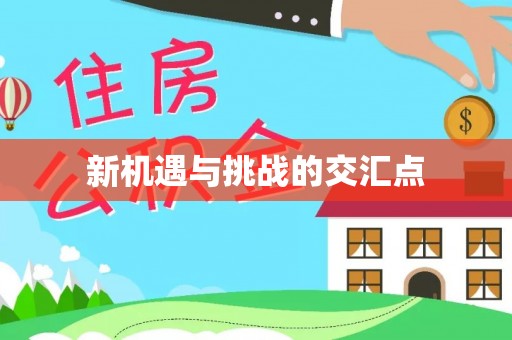 城市新机遇与挑战的交汇点