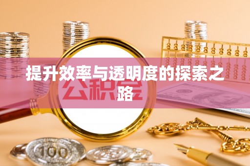 城市提升效率与透明度的探索之路
