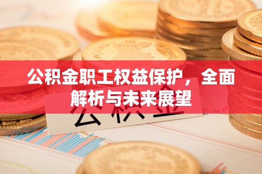 城市公积金职工权益保护，全面解析与未来展望