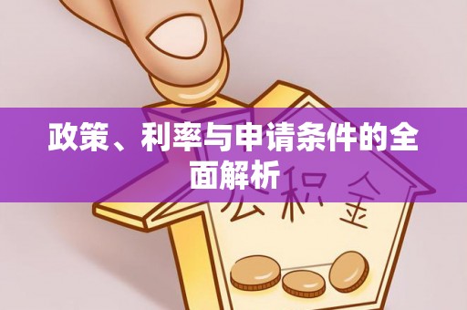 城市政策、利率与申请条件的全面解析