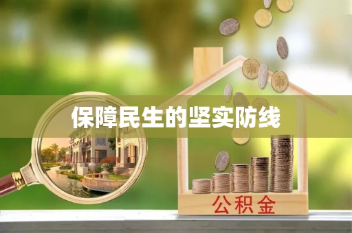 城市保障民生的坚实防线