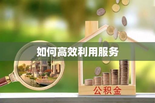 城市如何高效利用服务