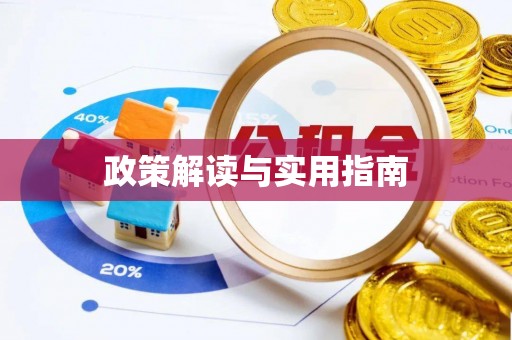 城市政策解读与实用指南