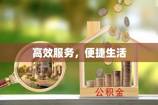 城市高效服务，便捷生活