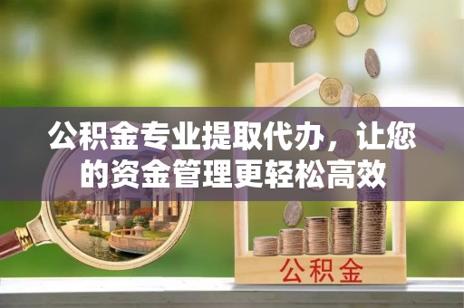 城市公积金专业提取代办，让您的资金管理更轻松高效