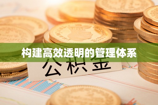 城市构建高效透明的管理体系