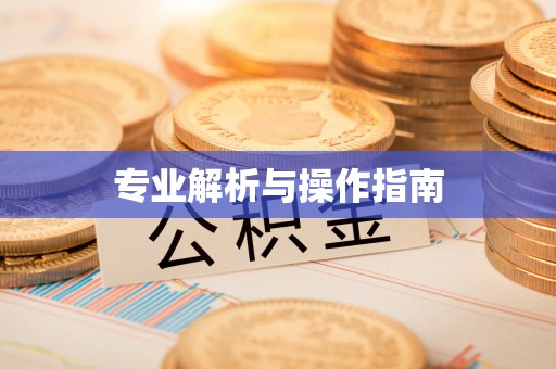 城市专业解析与操作指南