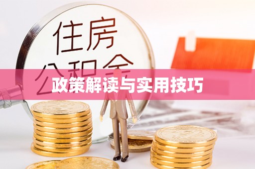 城市政策解读与实用技巧