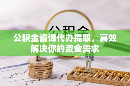 城市公积金咨询代办提取，高效解决你的资金需求