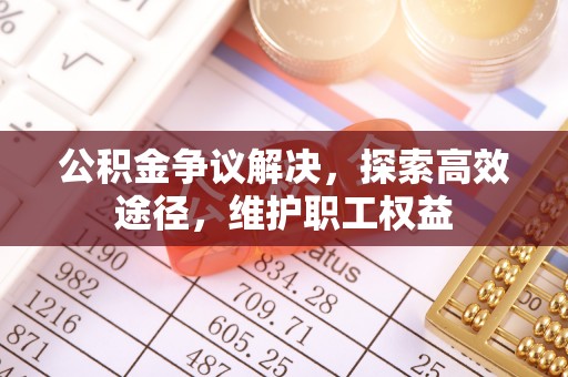 城市公积金争议解决，探索高效途径，维护职工权益