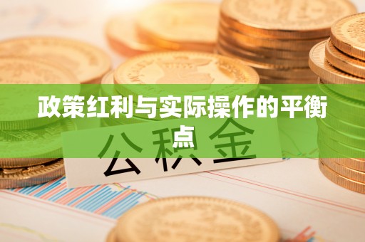城市政策红利与实际操作的平衡点