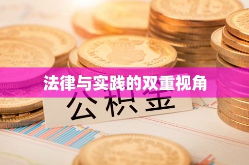 城市法律与实践的双重视角