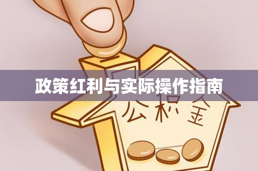城市政策红利与实际操作指南
