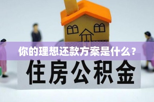 城市你的理想还款方案是什么？