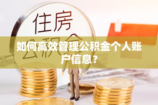 城市如何高效管理公积金个人账户信息？