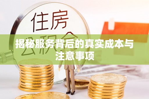 城市揭秘服务背后的真实成本与注意事项