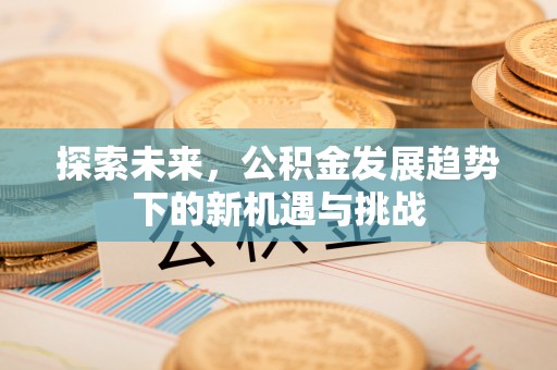 城市探索未来，公积金发展趋势下的新机遇与挑战