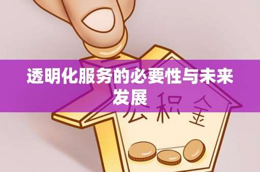 城市透明化服务的必要性与未来发展