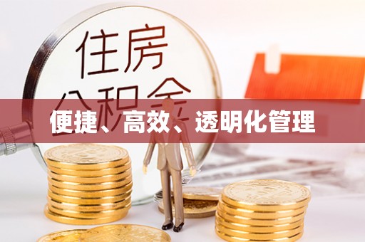 城市便捷、高效、透明化管理