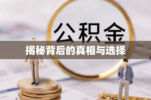 城市揭秘背后的真相与选择
