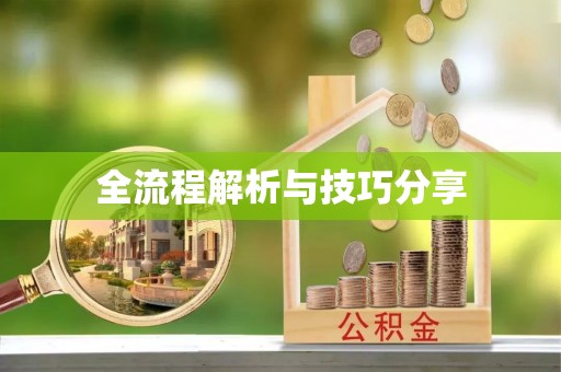 城市全流程解析与技巧分享