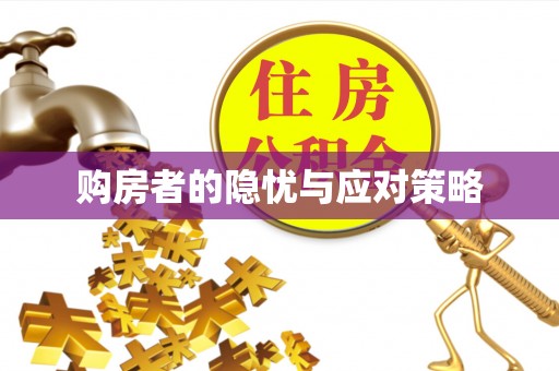 城市购房者的隐忧与应对策略
