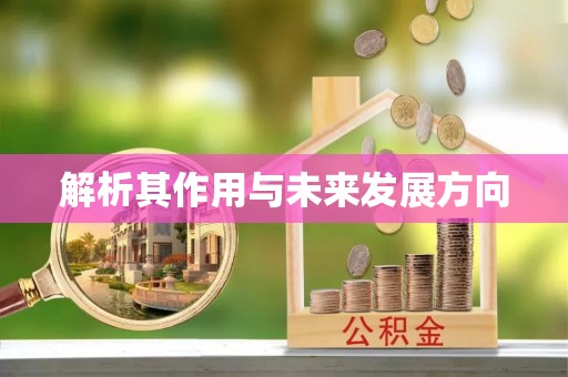 城市解析其作用与未来发展方向