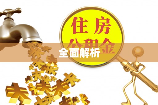 城市全面解析