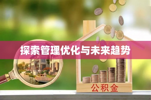 城市探索管理优化与未来趋势