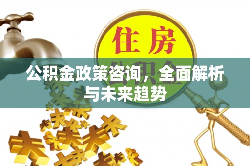 城市公积金政策咨询，全面解析与未来趋势